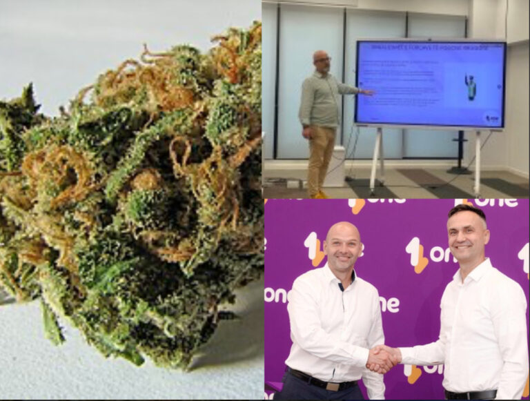 A e dini kush jam unë…/ Si u arrestuan 2 drejtorët e ONE Albania