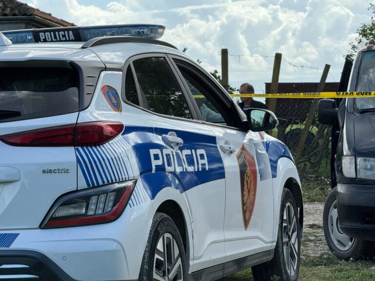 Sherr me armë tek rrethi i Selitës në Tiranë