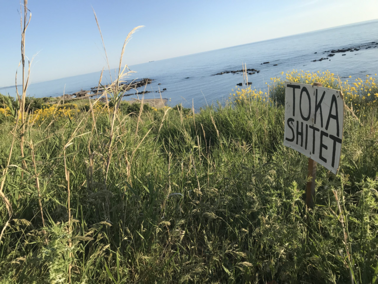 Privatizohet edhe Kallmi në Durrës?