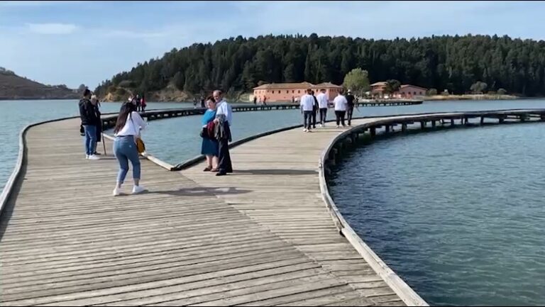 Roli i BALFIN Group i Samir Mane, në sherrin e Zvërnecit