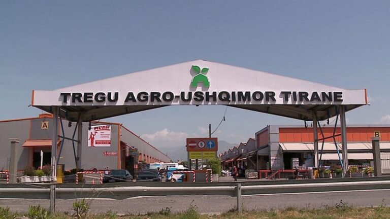 Punonjës të padeklaruar, moslëshim fature dhe shkelje të tjera në Tregun Agroushqimor të Kasharit